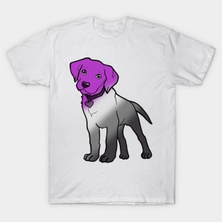 Labrador - Asexual Pride! T-Shirt